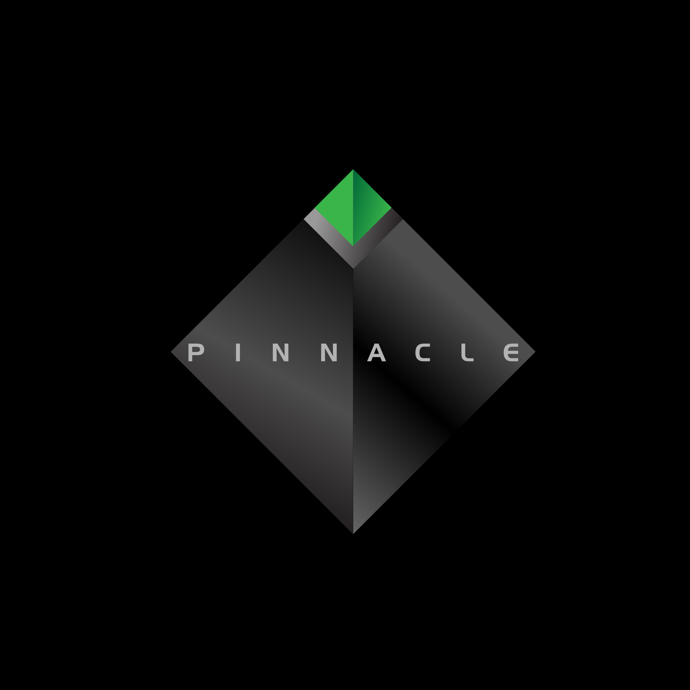 Pinnacle Consultation Pinnacle Consultation