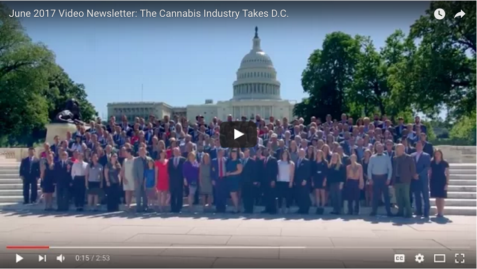 Video: The Cannabis Industry Speaks Out in D.C.
