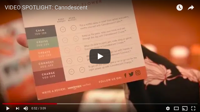 VIDEO: Member Spotlight with Canndescent