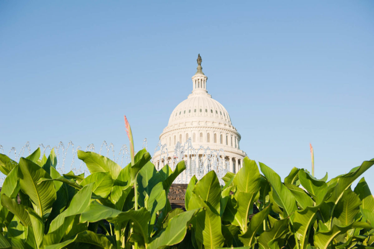 Comments to the Drug Enforcement Administration – Rescind Interim Final Rule “Implementation of the Agriculture Improvement Act of 2018”