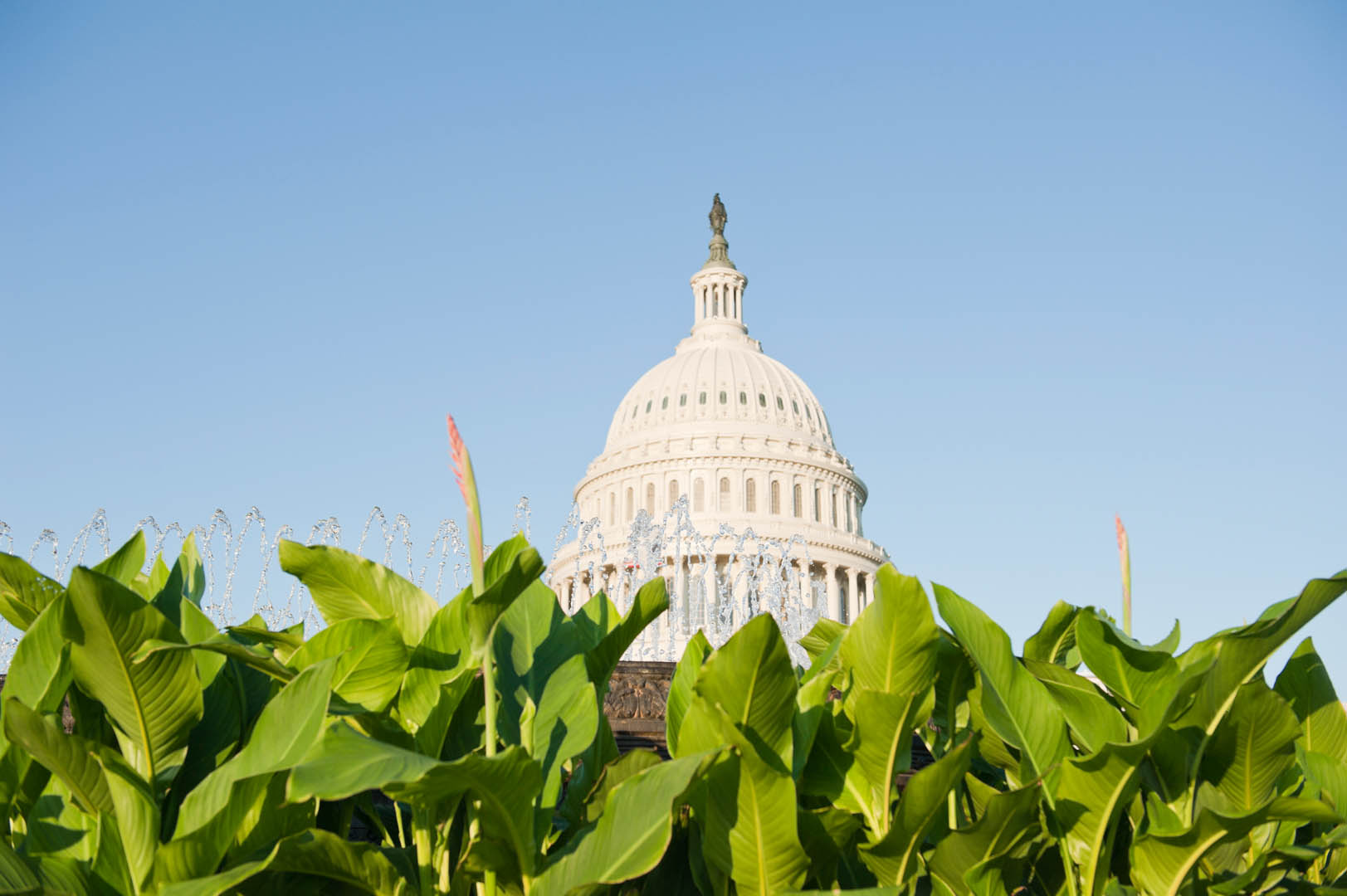Sunrise at Capitol Hill in Washington DC