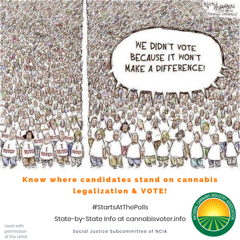 Committee Blog: “Cannabis Reform” Stops Short