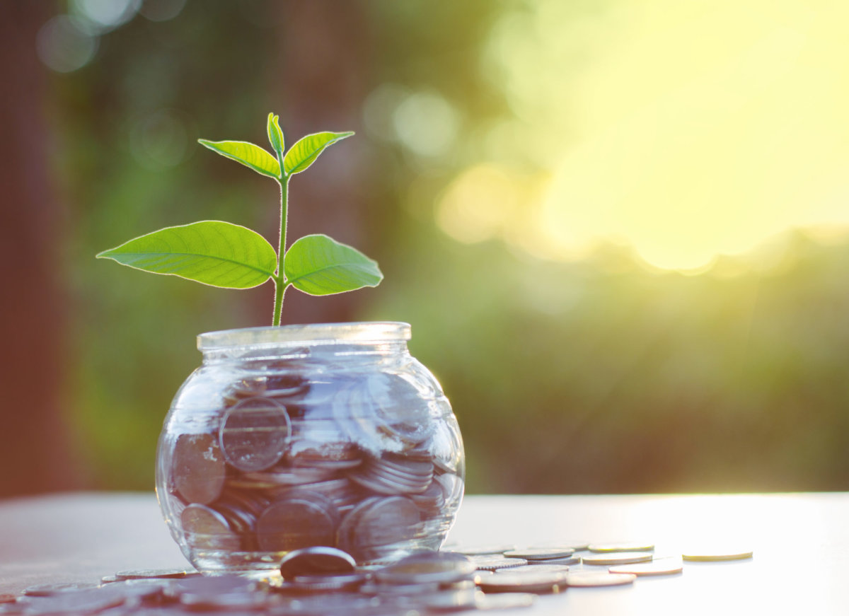 Member Blog: Three Reasons Why Cannabis Business Owners Outsource Their Accounting