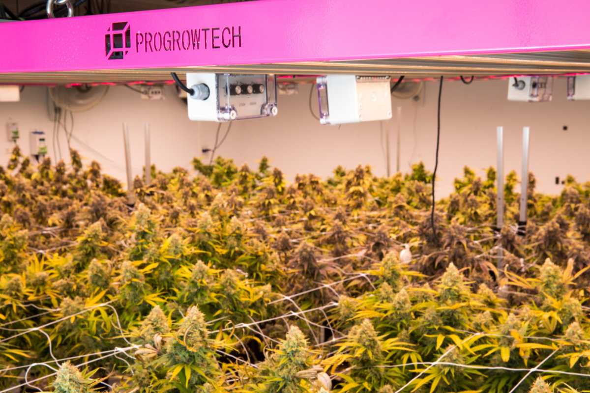 Member Blog: Doing More With Less – Ways To Expand Yields, Save Money, And Keep Quality
