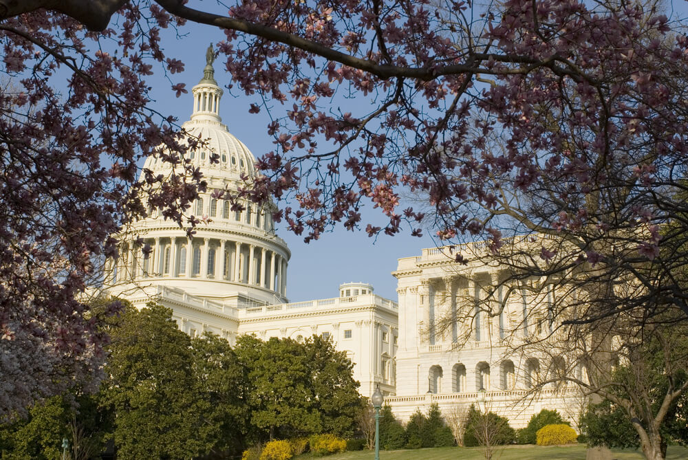The Burning Question – When Will SAFE Banking Get A Vote?
