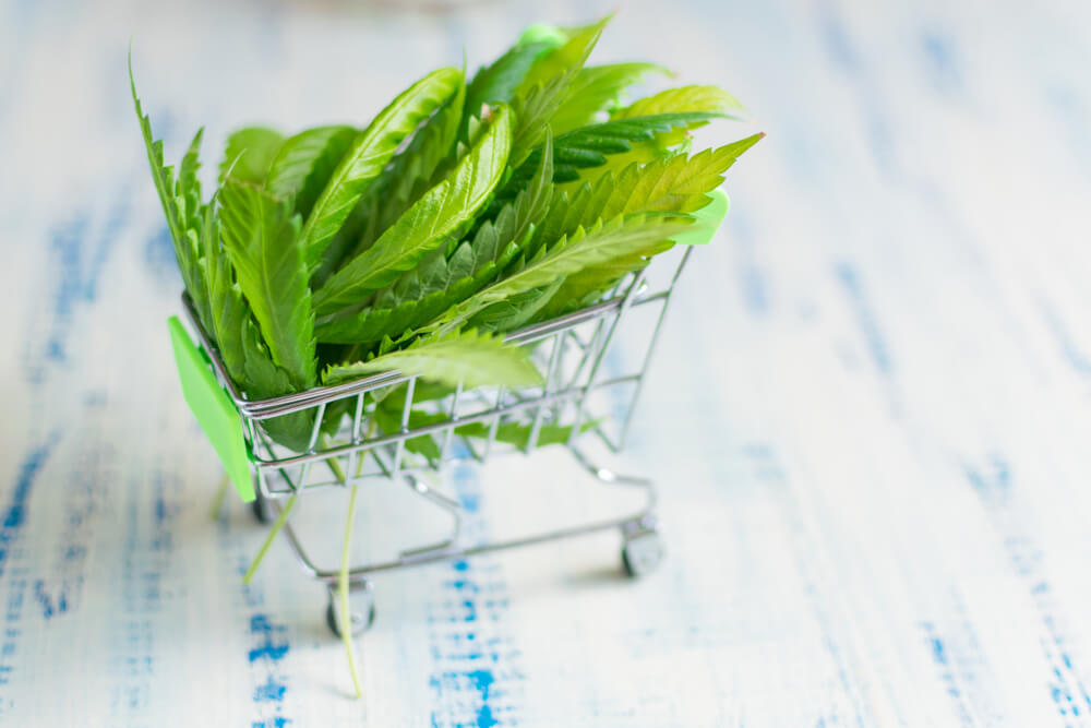 Member Blog: 9 Standard Operating Procedures Every Dispensary Should Have