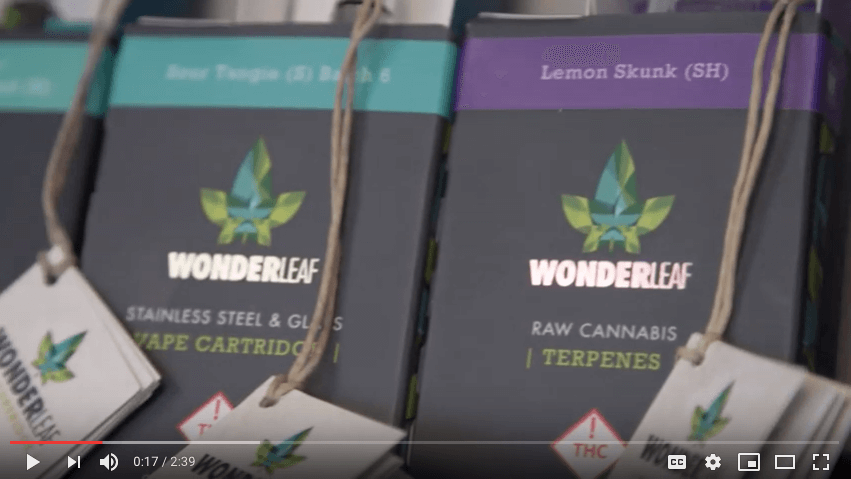 Video: Member Spotlight – WonderLeaf