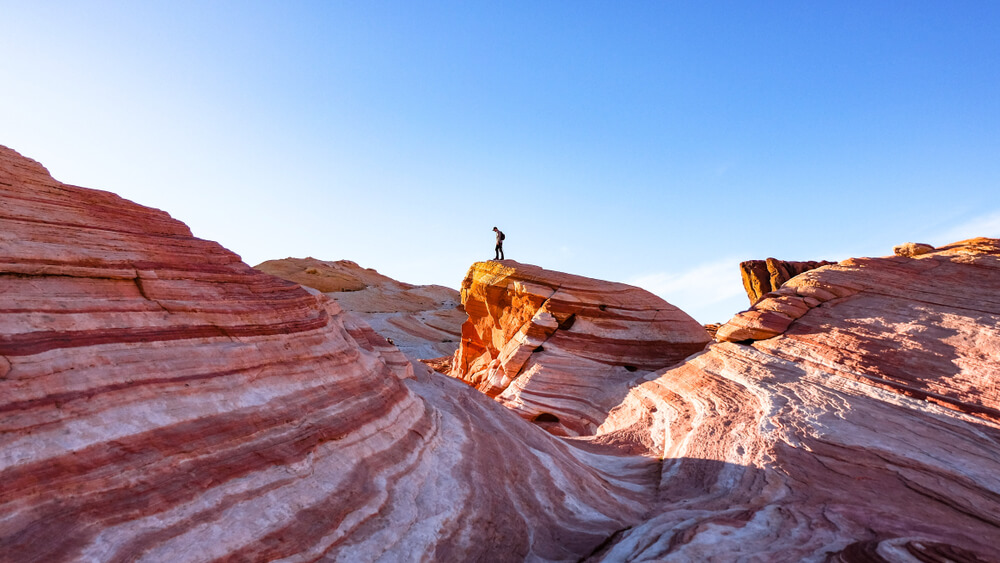 Member Blog: Nevada and Las Vegas Cannabis Market Analysis