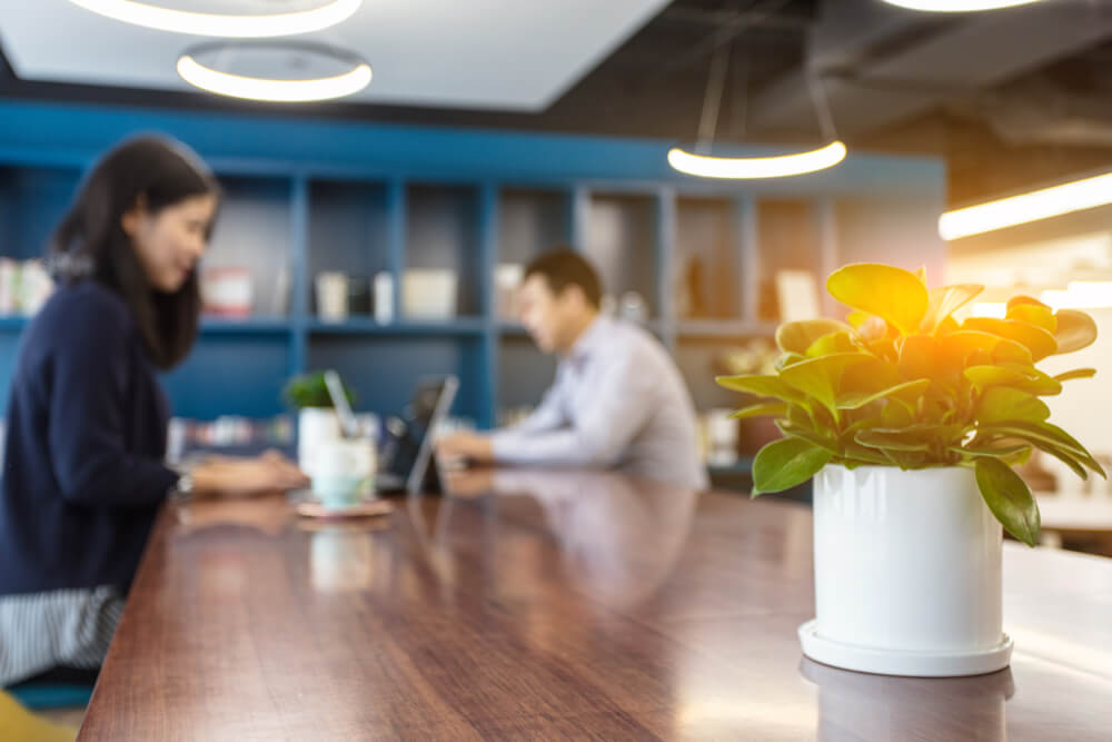 Committee Blog: Everything You Wanted to Know About Cannabis Facilities but Were Afraid to Ask Field Guide – Part 5 – General