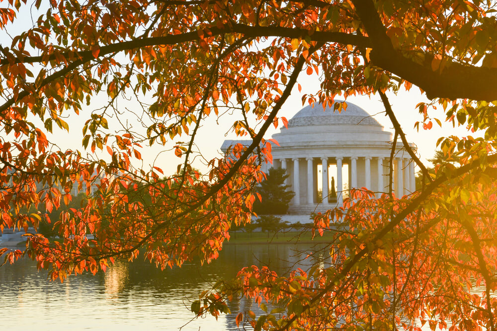 House Floor Debates, Markups, and Beyond for SAFE Banking and MORE Act