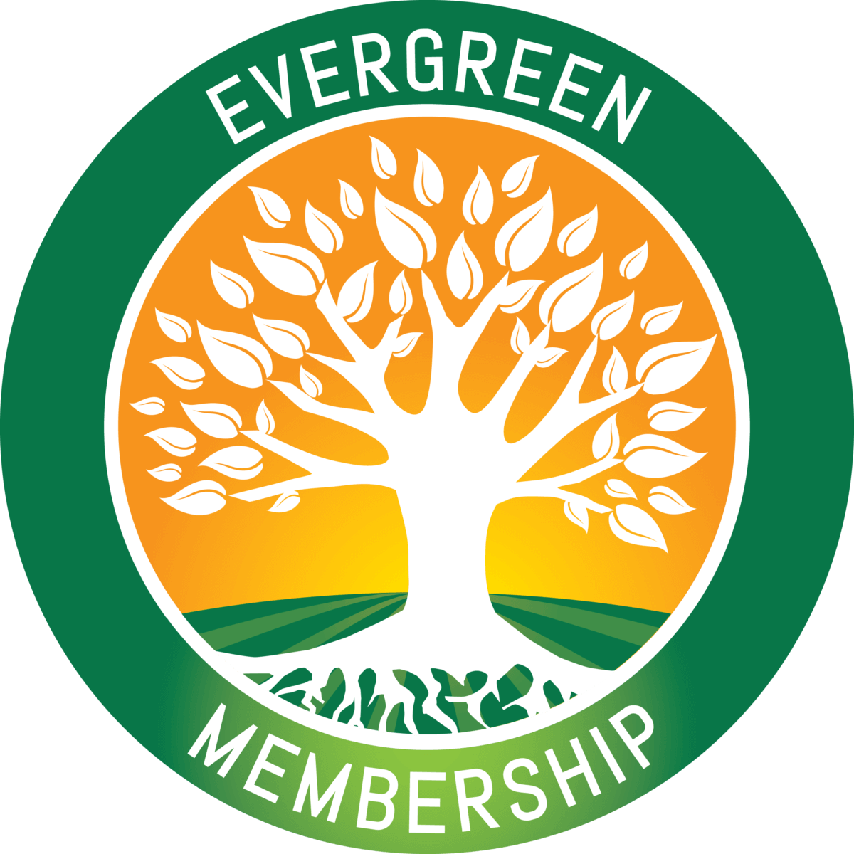 NCIA Announces New Evergreen Membership Tier for Policy-Oriented Business Leaders