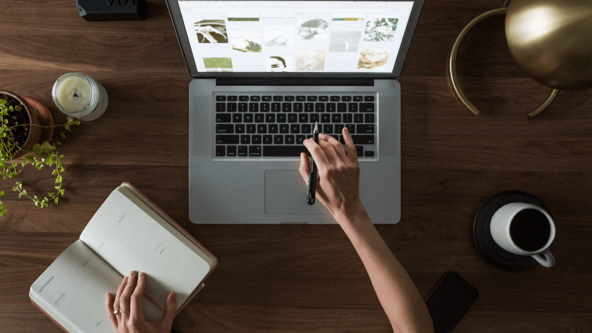 Member Blog: Creating a Cannabis Website Optimization Strategy
