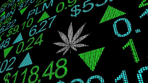 Member Blog: Cannabis Commoditization