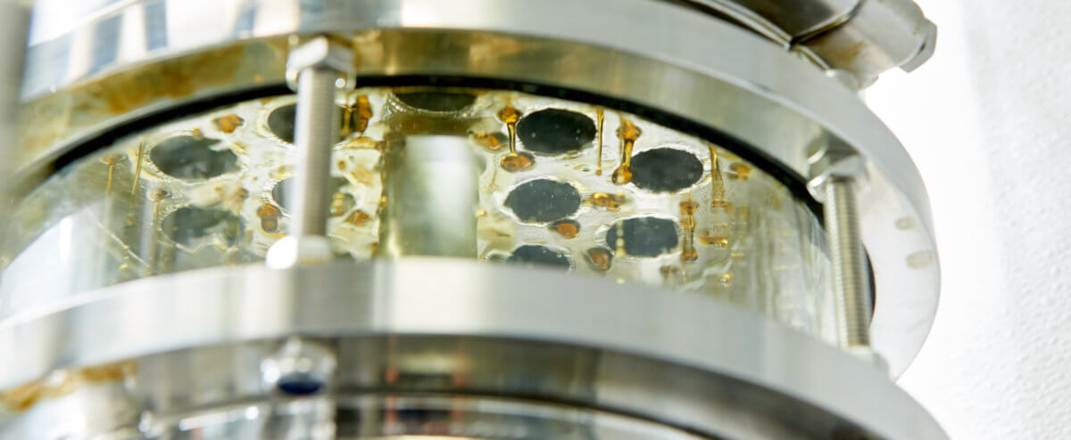 Member Blog: Selecting the Right Cannabis Extraction Approach for Your Needs