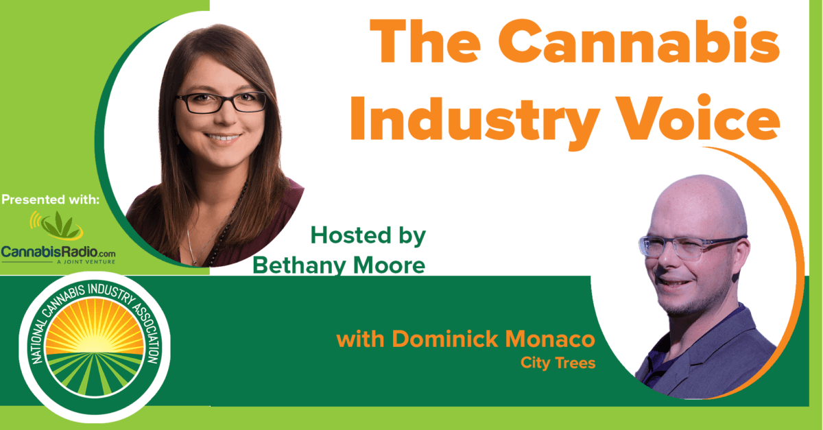 Insights into the Cannabis Extraction Market with Dominick Monaco
