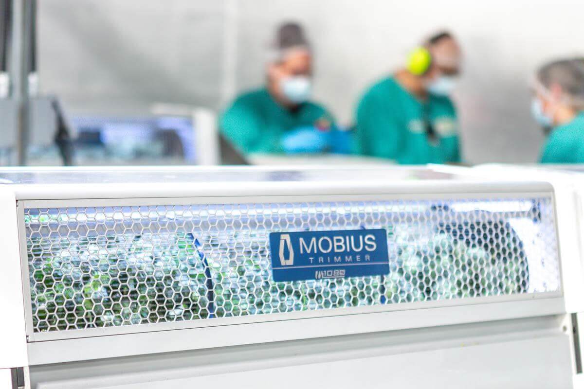 Big Win for Cannabis Technology and Manufacturing Companies