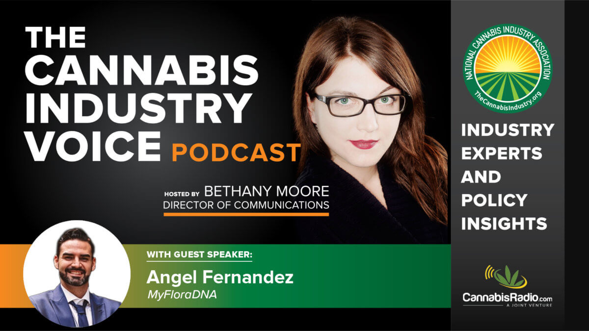 Podcast Image