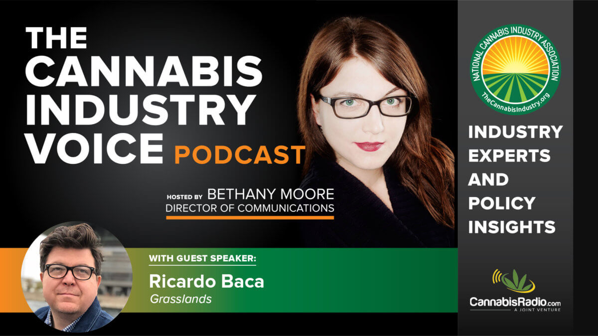 Podcast Image