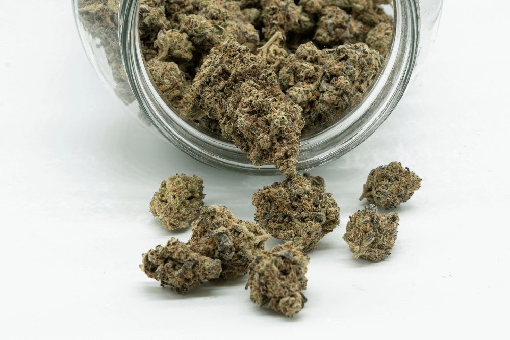 Member Blog: The Importance of Storing Cannabis Properly