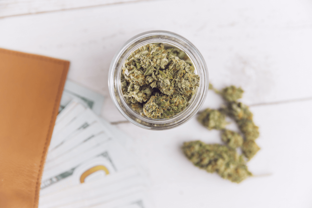 Member Blog: The Evolution of Cannabis-Friendly Banks and Credit Unions