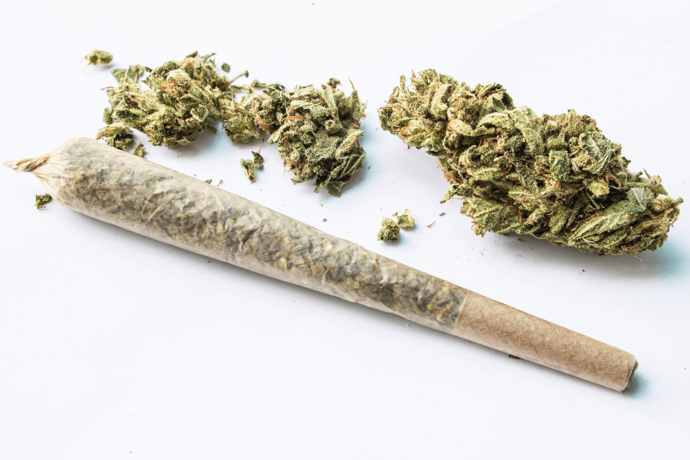 Member Blog: Pre-Rolls are Poised to Become the #1 Category in Canada – Will the Same Trends Follow in the US?