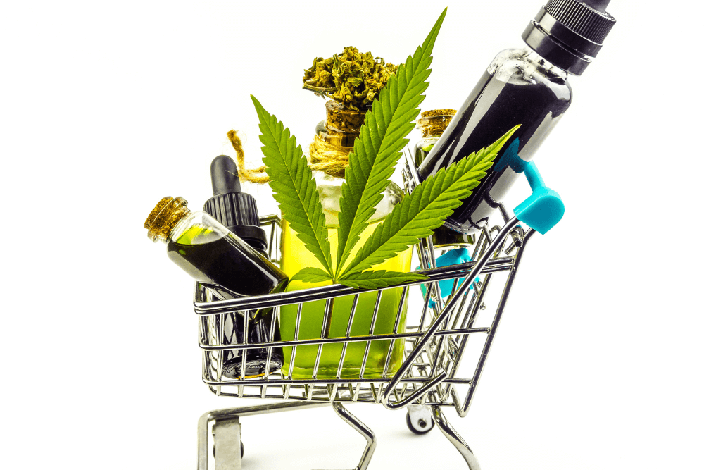 Elevate Your Dispensary’s Presence In 2024 Using These Promotion Tricks
