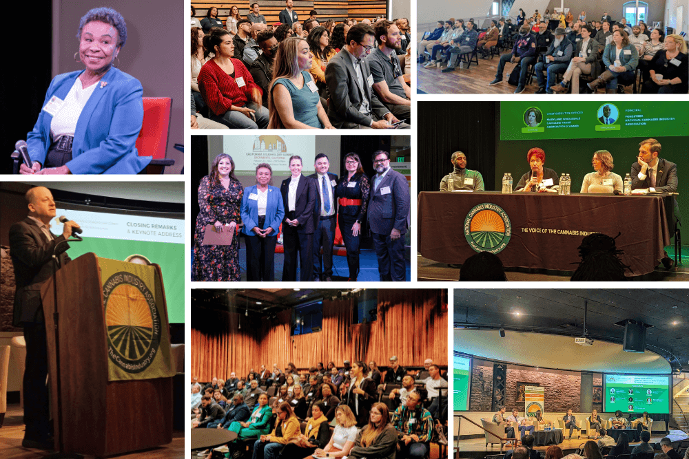 Igniting Conversations: NCIA’s Stakeholder Summit Series Sparks Dialogue