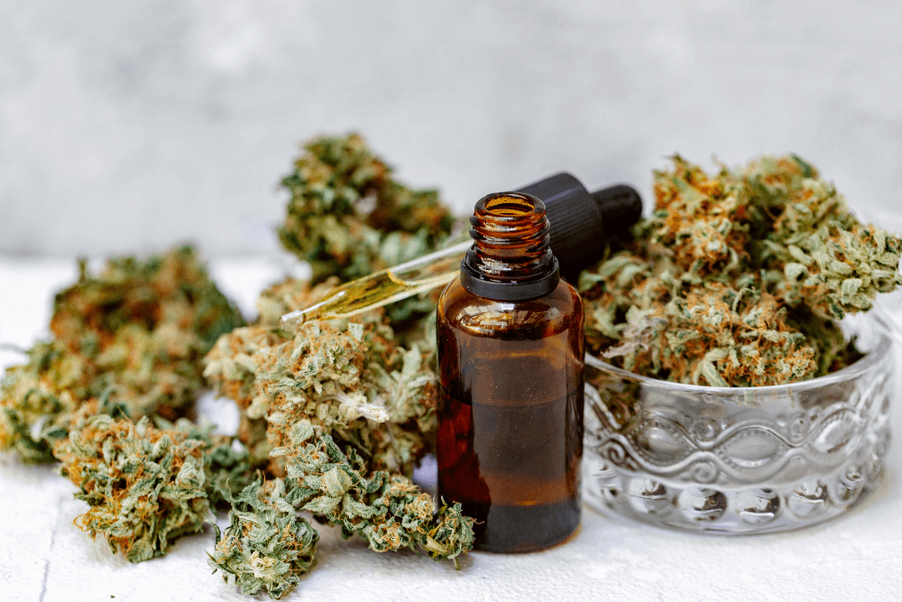 Navigating the Future of Cannabinoid Regulation: Balancing Safety, Innovation, and Consumer Access Position Paper